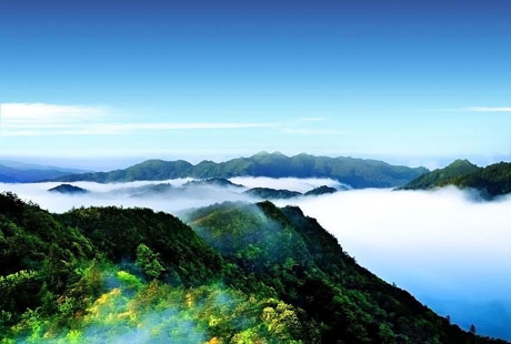 【魅力井婺】廬山鄱陽(yáng)湖景德鎮(zhèn)婺源篁嶺井岡山5日游天天發(fā)團(tuán)，新出鮮品，經(jīng)典連線游，不走回頭路。